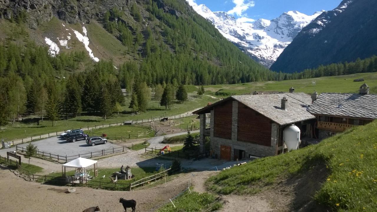 La Ferme Du Grand Paradis * Cogne