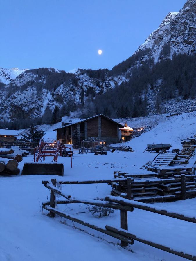 La Ferme Du Grand Paradis * Cogne